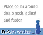 DAP Collar Dogs Step One