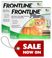 frontline for cats 6 pack cheapest