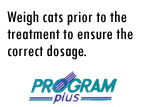 Program Plus Cats Step One