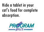 Program Plus Cats Step Two
