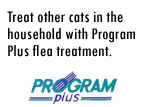 Program Plus Cats Step Three