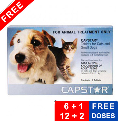 Capstar For Dogs Buy Capstar For Small & Large Dogs Online