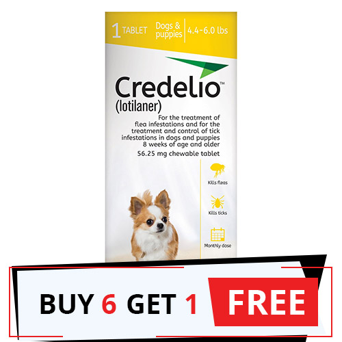 Credelio for Dogs & Puppies Credelio Lotilaner Dog Flea & Tick Pill