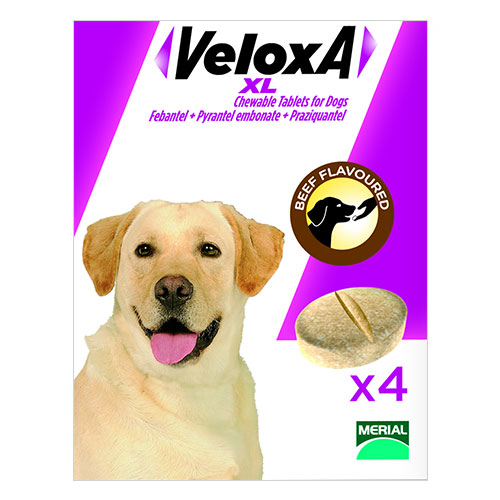 Veloxa Xl Chewable Tablets For Dogs 4 Pack