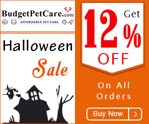 Scarily Good Prices This Halloween! Use Coupon: HALLOWEEN to avail 12% Extra Discount & Free Shipping on Everything