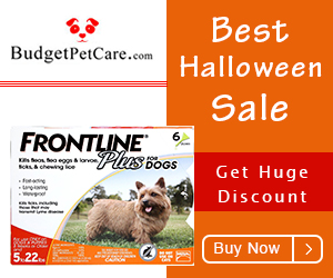 Scream out loud for Extra 12% Discount + Free Shipping on All Orders! Use Coupon: HALLOWEEN