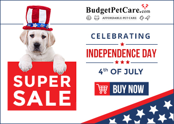 Save Big with these 4th of July Deals! Get 12% Extra Discount + Free Shipping on Everything! Use Code: BPCJULY12