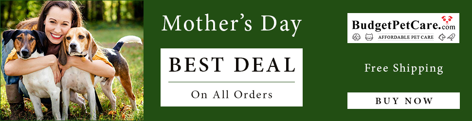 Everything a Pet Mom Wants on this Mother’s Day at BudgetPetCare.com! Grab 12% Extra OFF + Free Shipping with Coupon: FURMOM