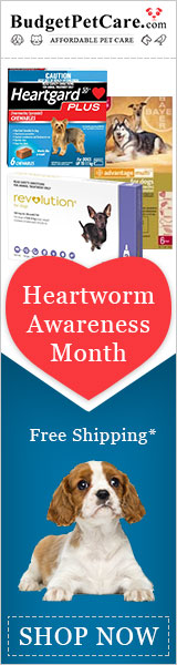 Save your Dog on Heartworm Awareness Month! Get 12% Discount + Free Shipping. 10% Cashback, Use Coupon Code: HWAM12