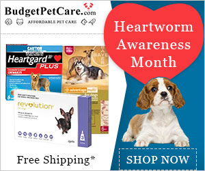 Your Pet deserves a heartworm treat, too. Get Cheap Revolution Dogs & 12% Discount + Extra 10% Instant Cashback on Every orders & Free Shipping. Use Coupon: HWAM12