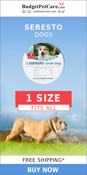 12% Extra OFF + Seresto Dog Collar Offer Ever! FREE SHIPPING!! Special Treat for Your Pet 🌟