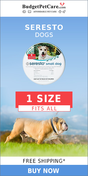 12% Extra OFF + Seresto Dog Collar Offer Ever! FREE SHIPPING!! Special Treat for Your Pet ?