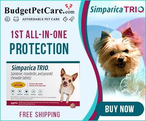 New Arrivals Just Landed - Simparica Trio protection against heartworm disease, ticks* & fleas! Extra 12% off, Use code: SUMER12