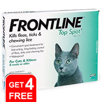 Frontline Top Spot for cats