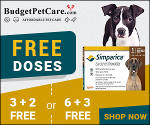 Best Price Guaranteed: Buy Cheapest Simparica Online + 15% Extra Discount & Free Shipping! Also Avail Free Monthly Chews, Shop Today! Use Code: BSIMPC15