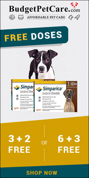 Simparica Bumper Offer! Buy 6 + 3 Chews Free & Buy 3 + 2 Chews Free. Get 15% Extra Discount Sitewide & Free Shipping on All Orders at BudgetPetCare.com! Use Code: BSIMPC15
